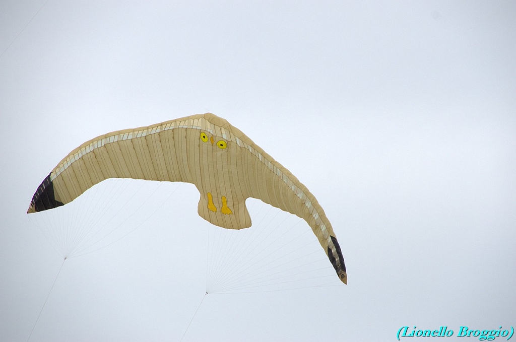 RIMINI 2012 - 019.jpg